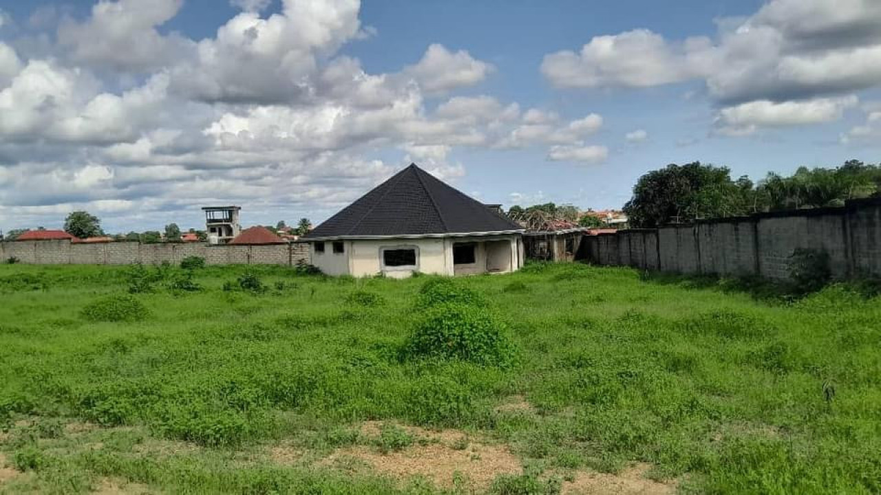 Domaine de 12000 m2 clôturé à vendre à Coyah/ Wonkifond, Terrains, Conakry