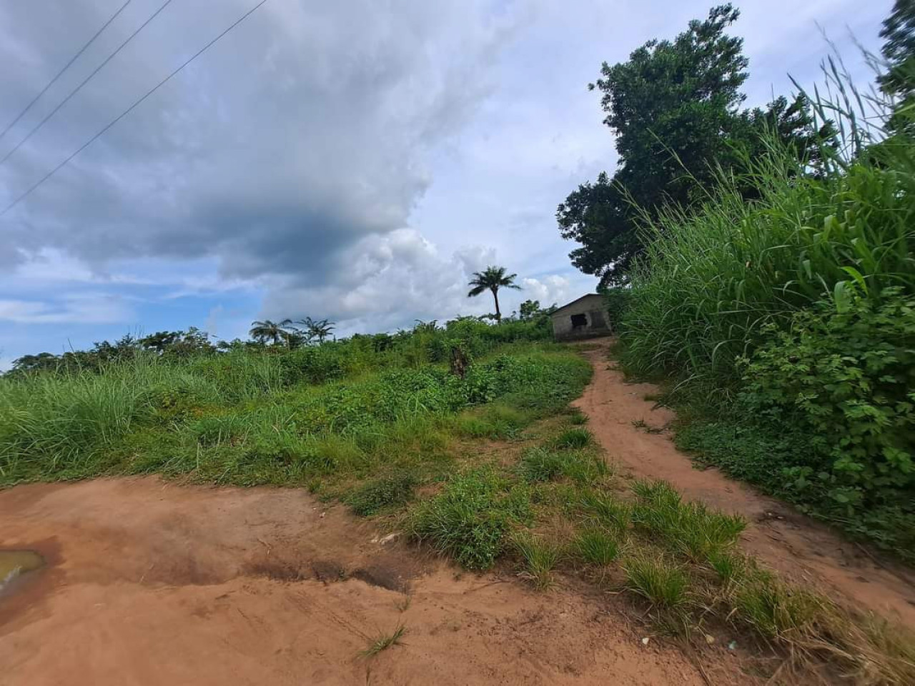 DEUX HECTARES À VENDRE À MORIBAYAH, Terrains, Conakry