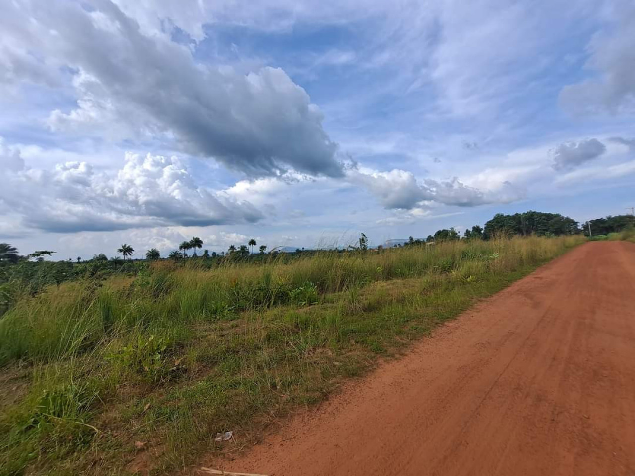 DEUX HECTARES À VENDRE À MORIBAYAH, Terrains, Conakry