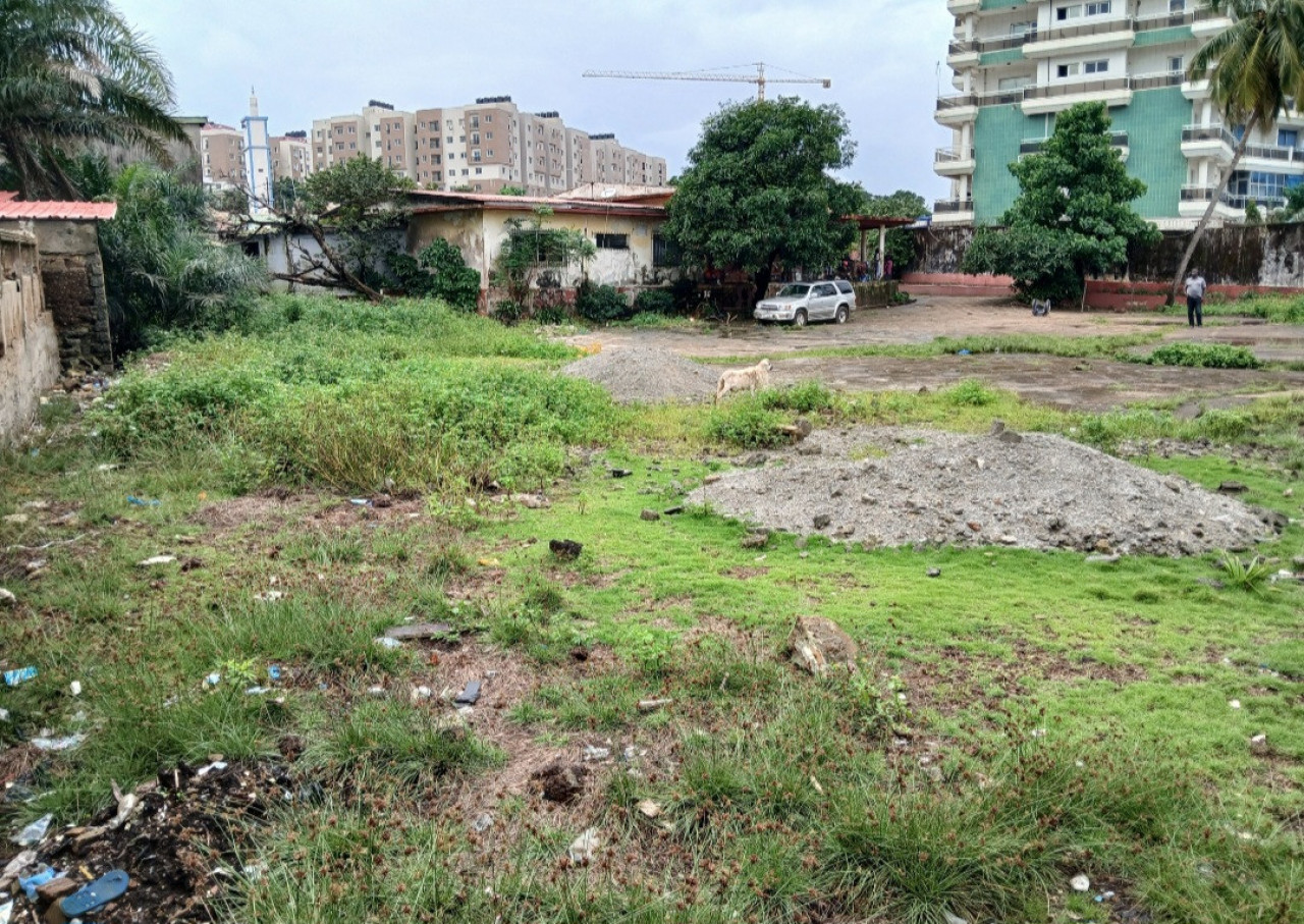 TERRAIN EN BORDURE DE MER COLEAH, Terrains, Conakry