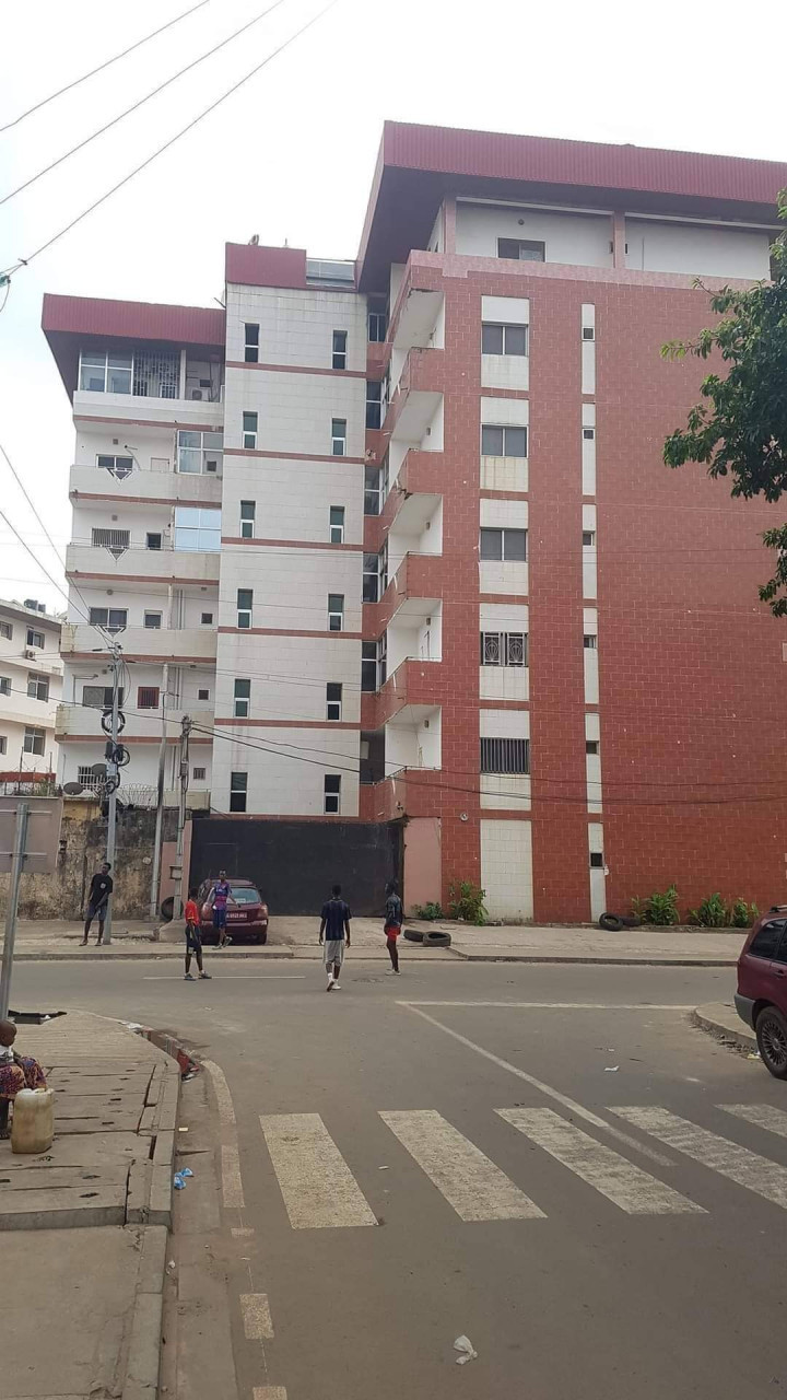 Immeuble à vendre à camayenne, Autres Immobiliers, Conakry