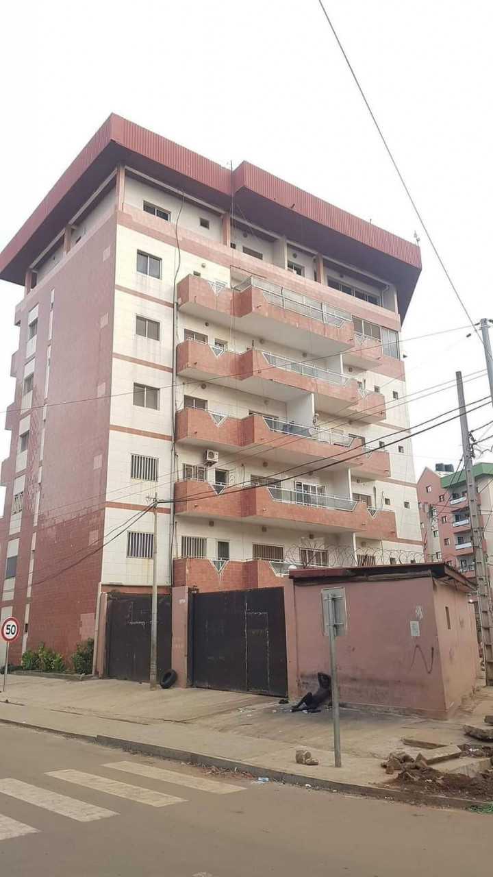 Un immeuble R + 6 à vendre à la Camayenne, Autres Immobiliers, Conakry