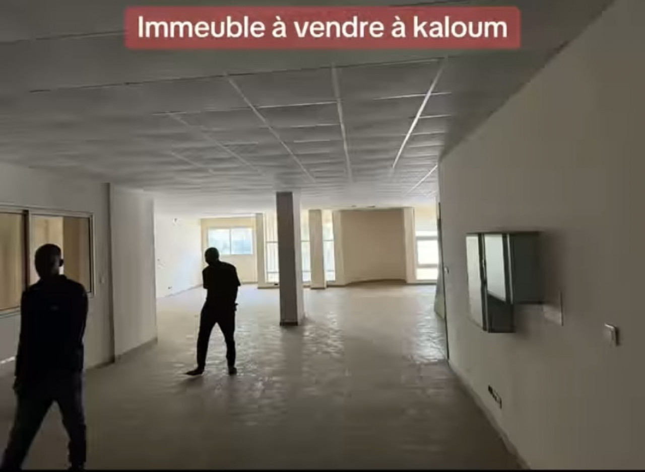 Immeuble R+9 à vendre à Kaloum Quartier Almamyah, Autres Immobiliers, Conakry