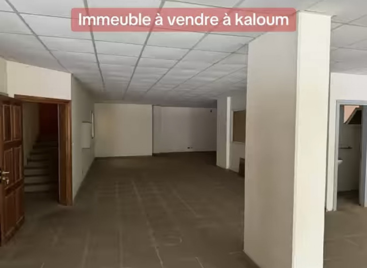 Immeuble R+9 à vendre à Kaloum Quartier Almamyah, Autres Immobiliers, Conakry