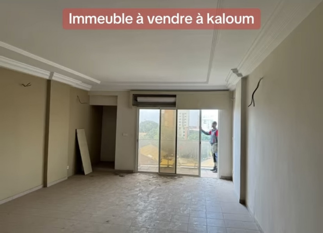 Immeuble R+9 à vendre à Kaloum Quartier Almamyah, Autres Immobiliers, Conakry