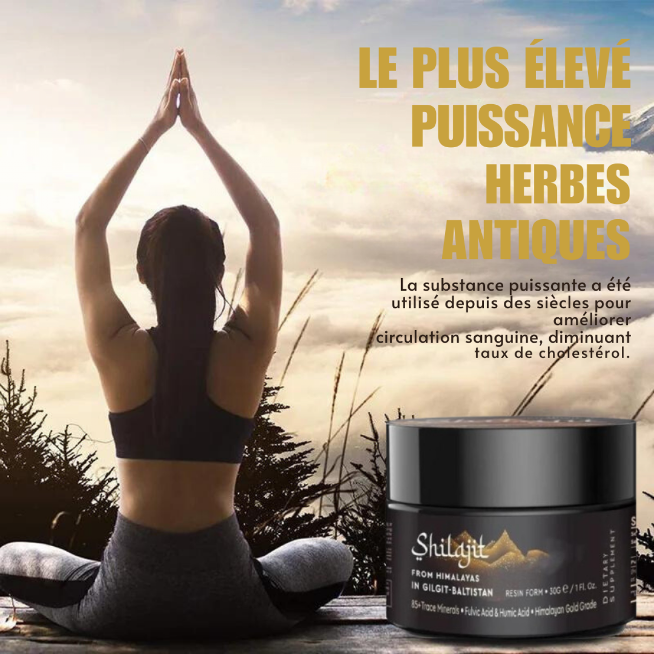 Supplément de Pâte de Crème Shilajit - Shilajit Pure de, Pharmacie - Suppléments, Conakry