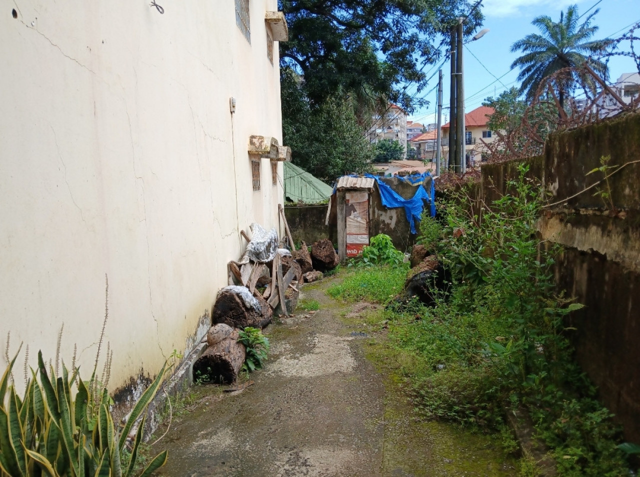 Domaine a vendre à kipé, Maisons, Conakry