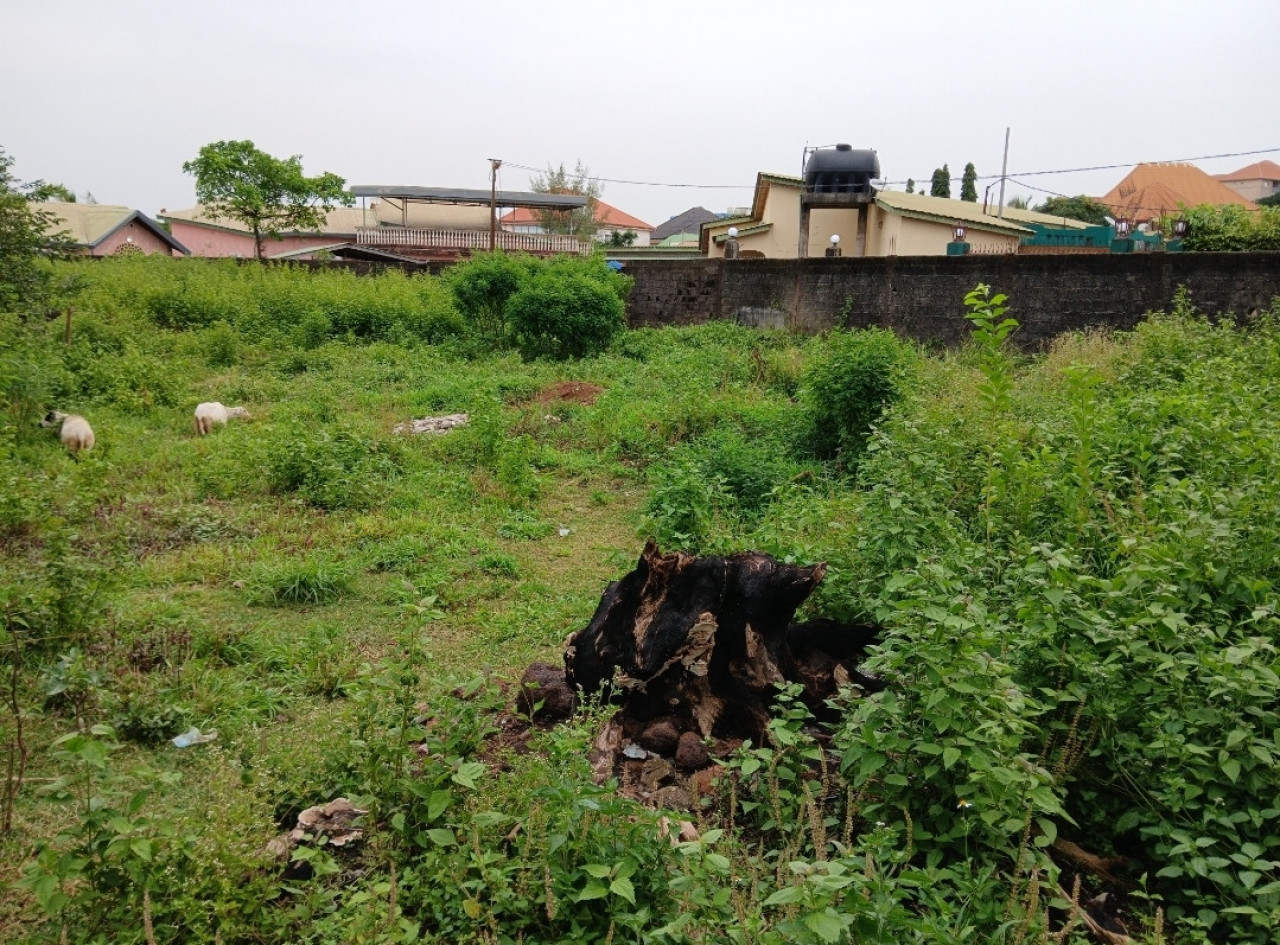 Terrain a vendre a lambagnie, Terrains, Conakry