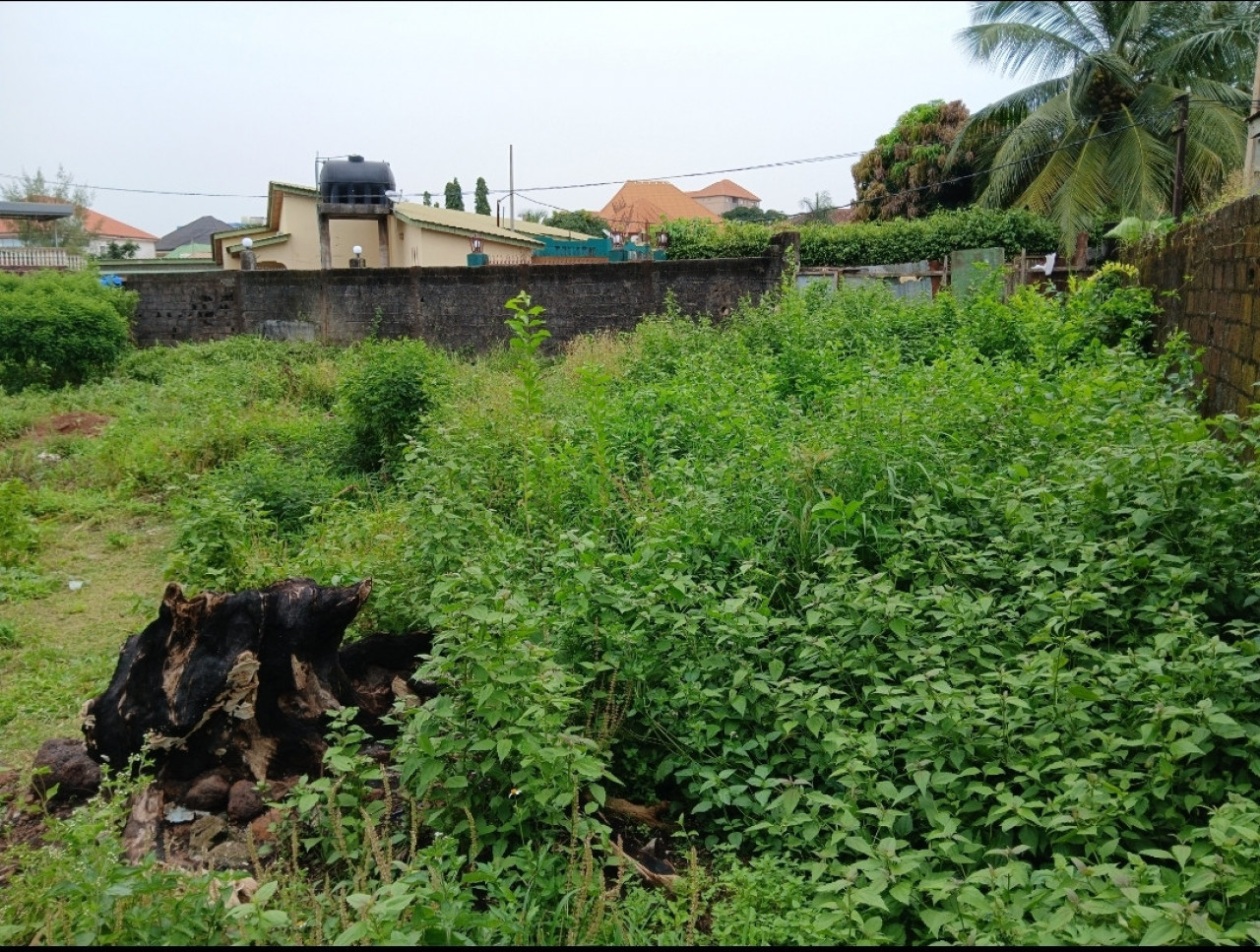 Terrain a vendre a lambagnie, Terrains, Conakry