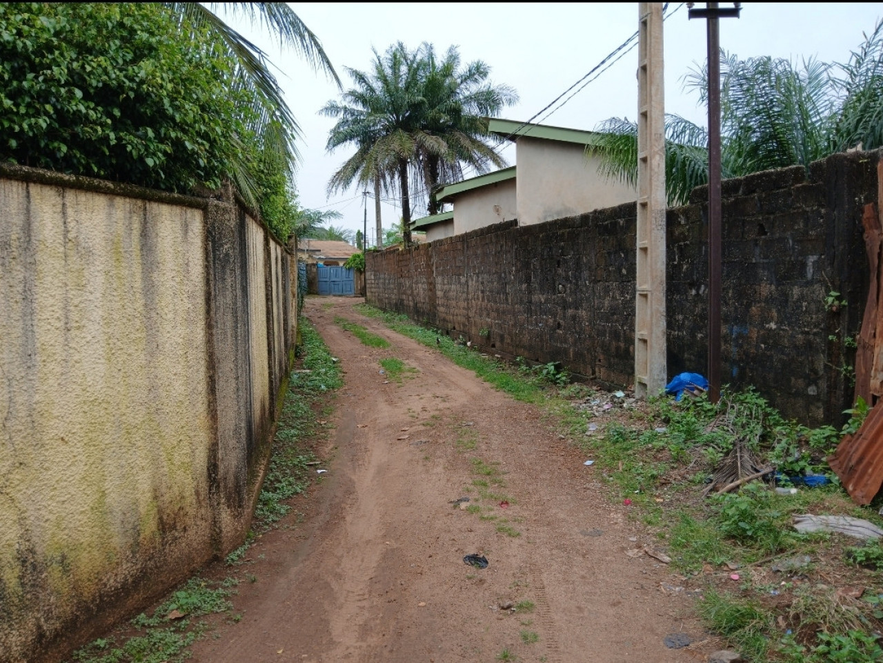 Terrain a vendre a lambagnie, Terrains, Conakry