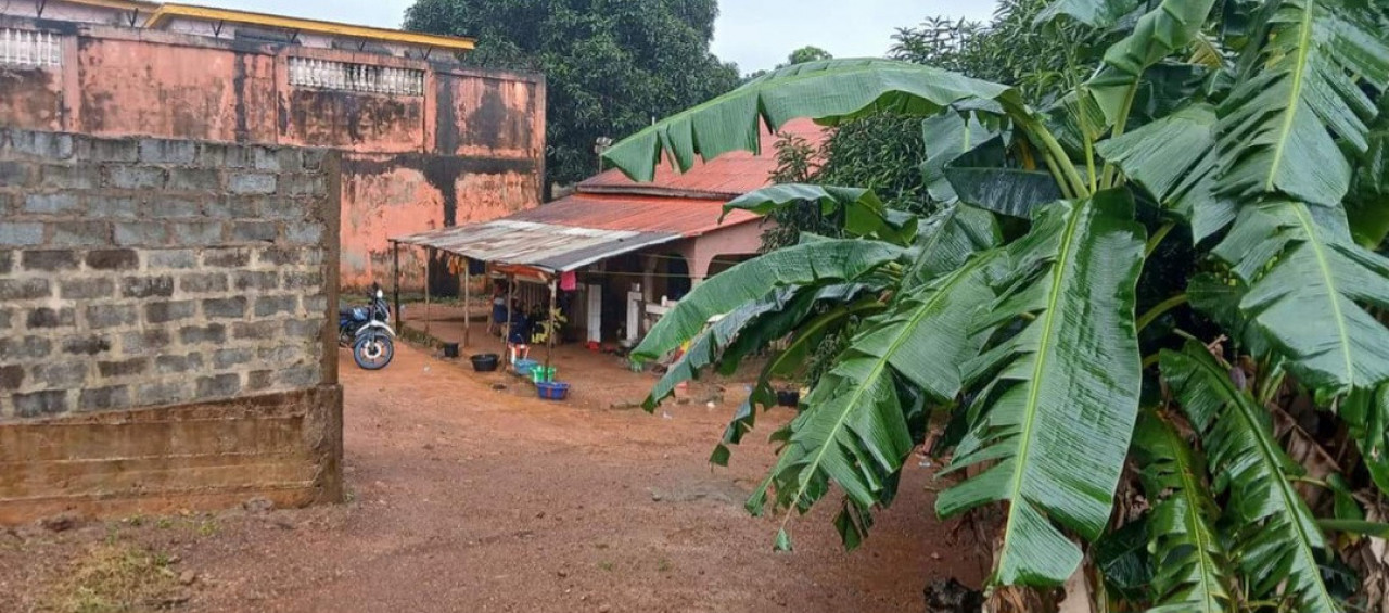 Concession a vendre a dubreka KENINDÉ, Maisons, Conakry