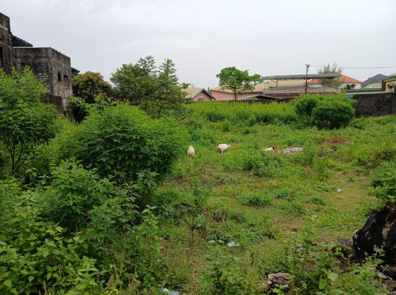 Vente Terrains à lambagnie, Terrains, Conakry