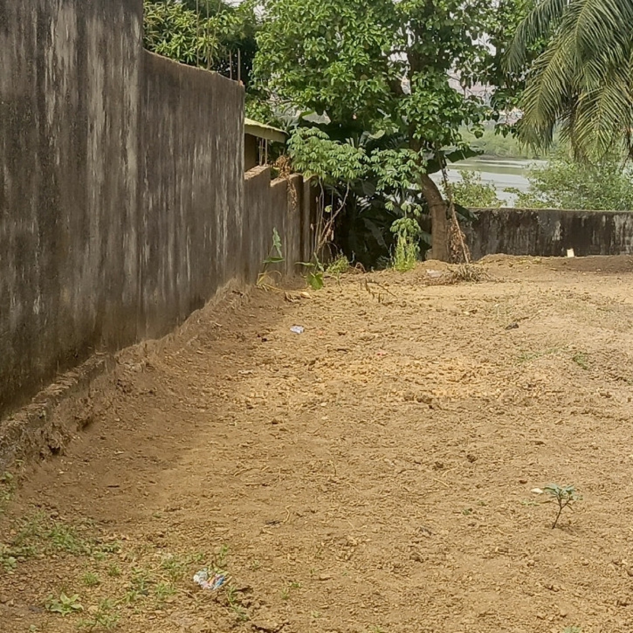 Parcelle de 1100m², Terrains, Conakry