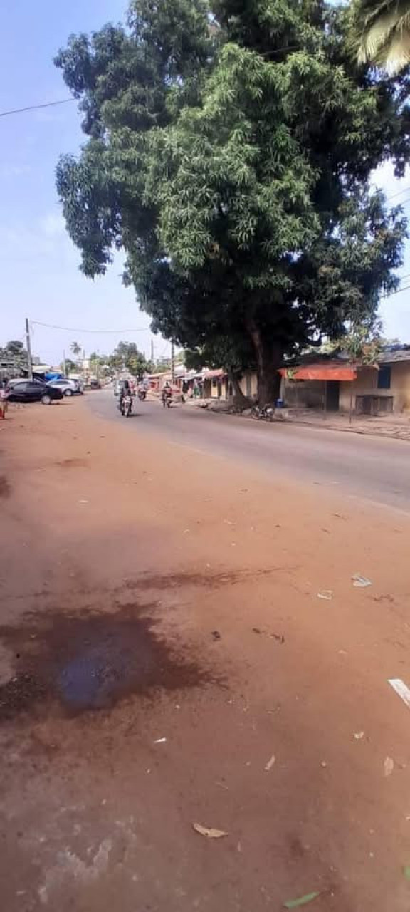 Terrain en vente bordure de mer et de route a COLEYAH, Terrains, Conakry