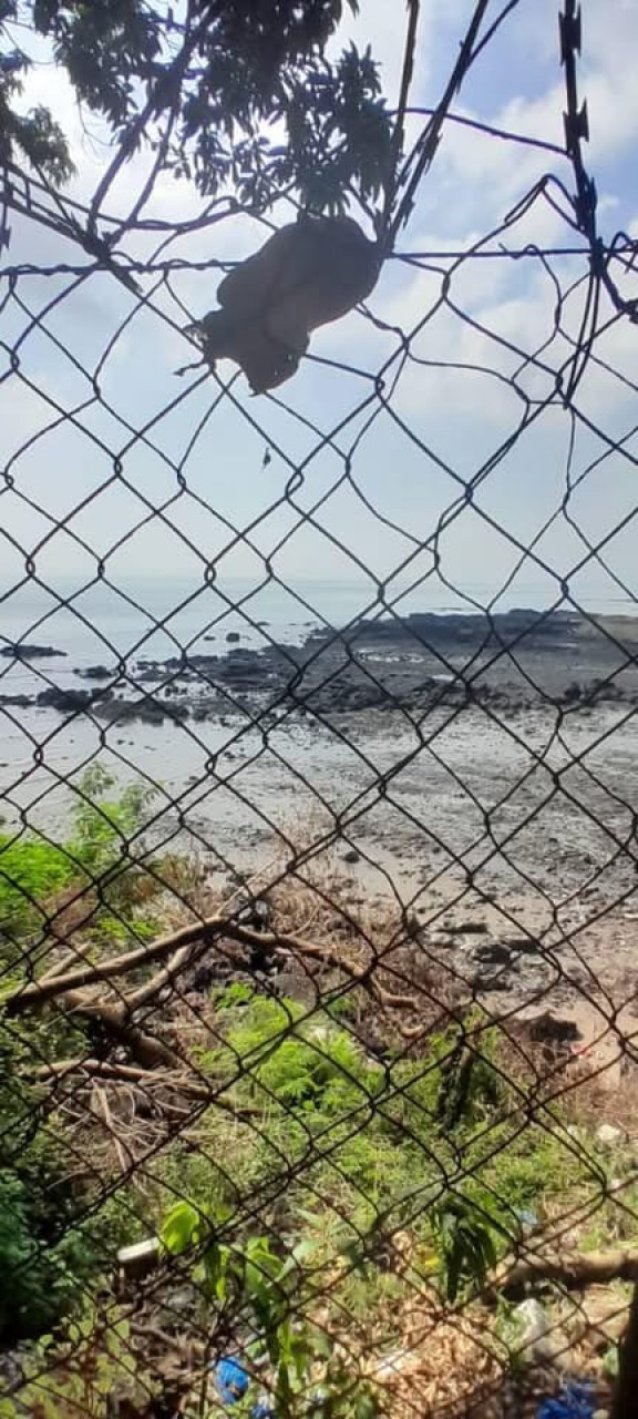 Terrain en vente bordure de mer et de route a COLEYAH, Terrains, Conakry