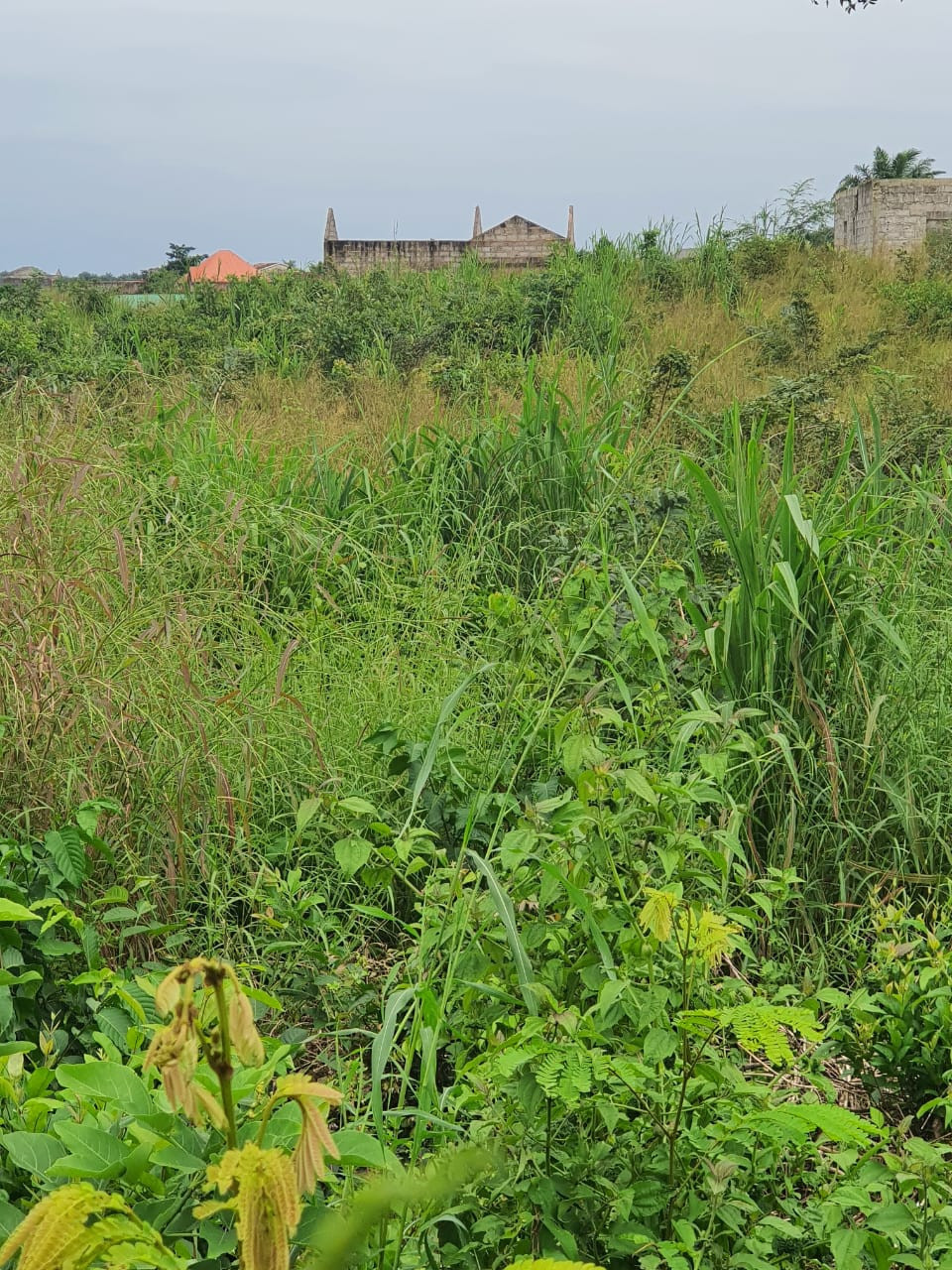 Terrain à vendre, Terrains, Conakry