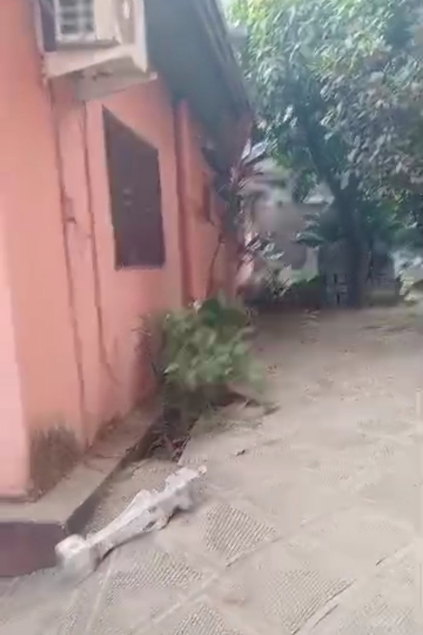 SONFONIA MAISON BORD DU GOUDRON A VENDRE, Maisons, Conakry