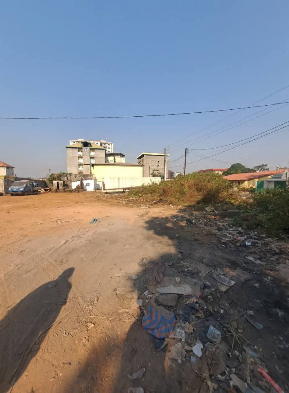 LOCATION D’UN TERRAIN À COLEAH, Terrains, Conakry