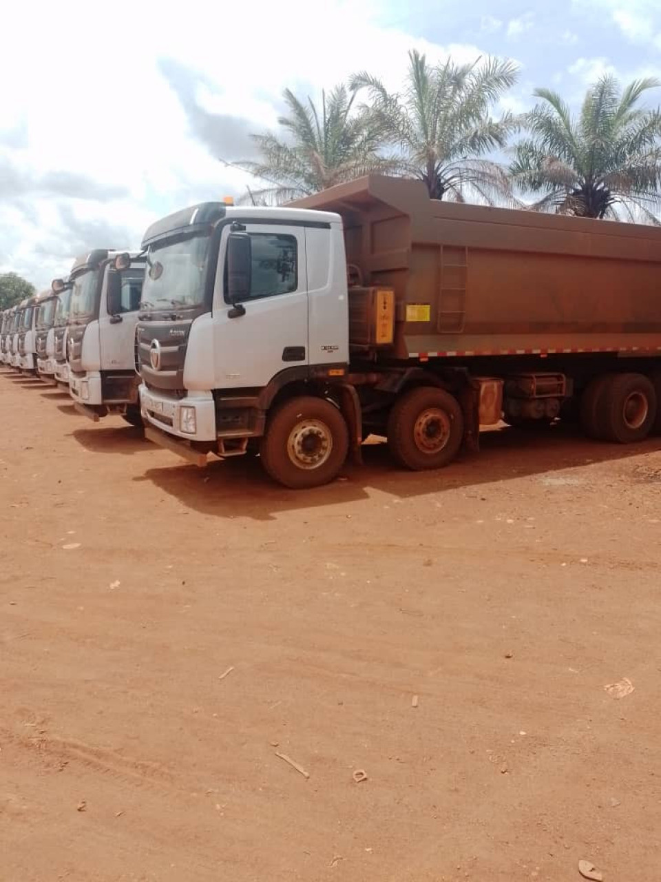 14 CAMIONS HOWO 12 ROUES DISPONIBLES, Camions - Autobus, Conakry