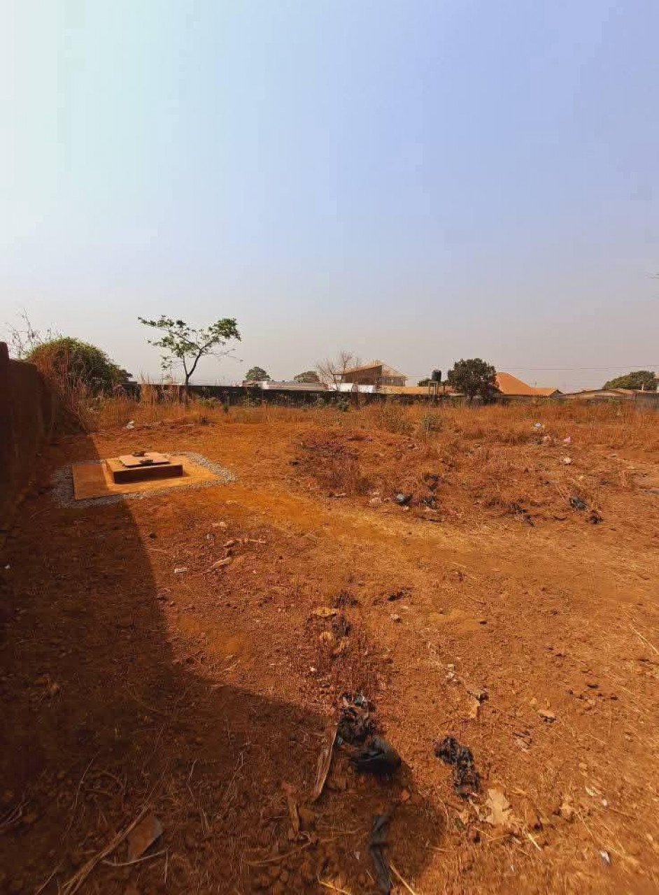 Vente de (12) douze #parcelles collées à GOMBOYAH, Terrains, Conakry