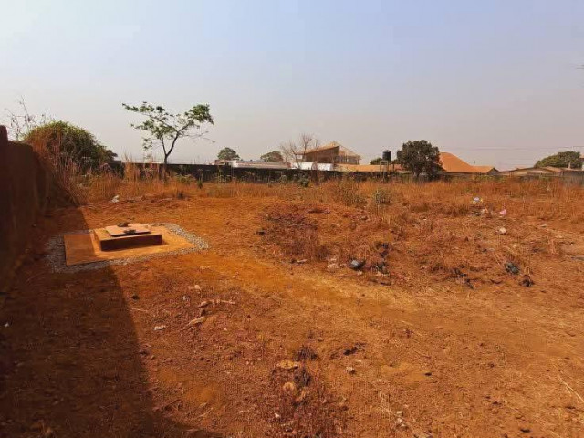 Vente de (12) douze #parcelles collées à GOMBOYAH, Terrains, Conakry