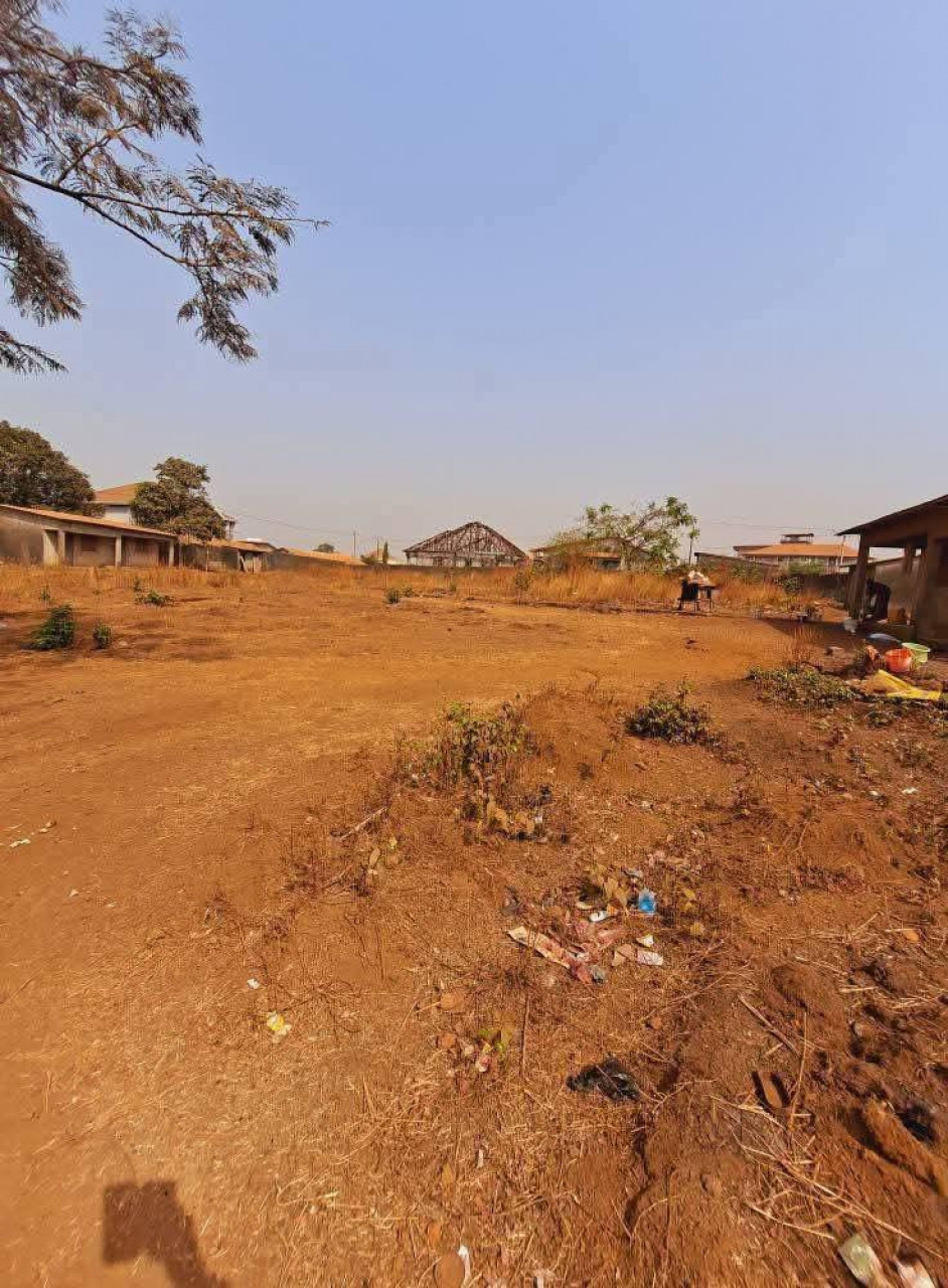 Vente de (12) douze #parcelles collées à GOMBOYAH, Terrains, Conakry
