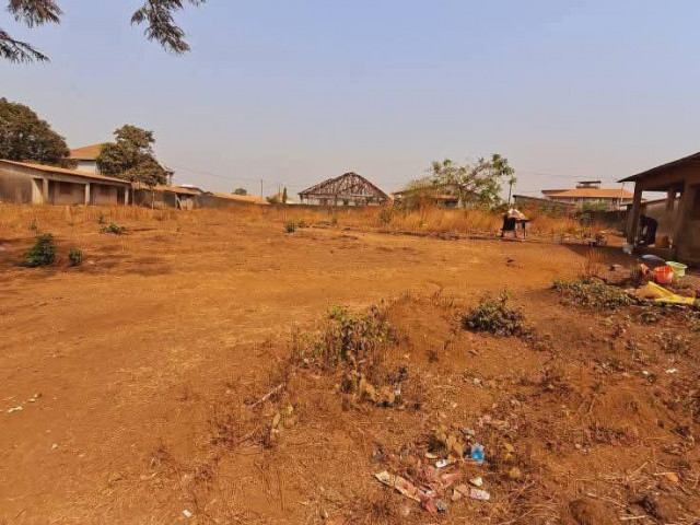 Vente de (12) douze #parcelles collées à GOMBOYAH, Terrains, Conakry