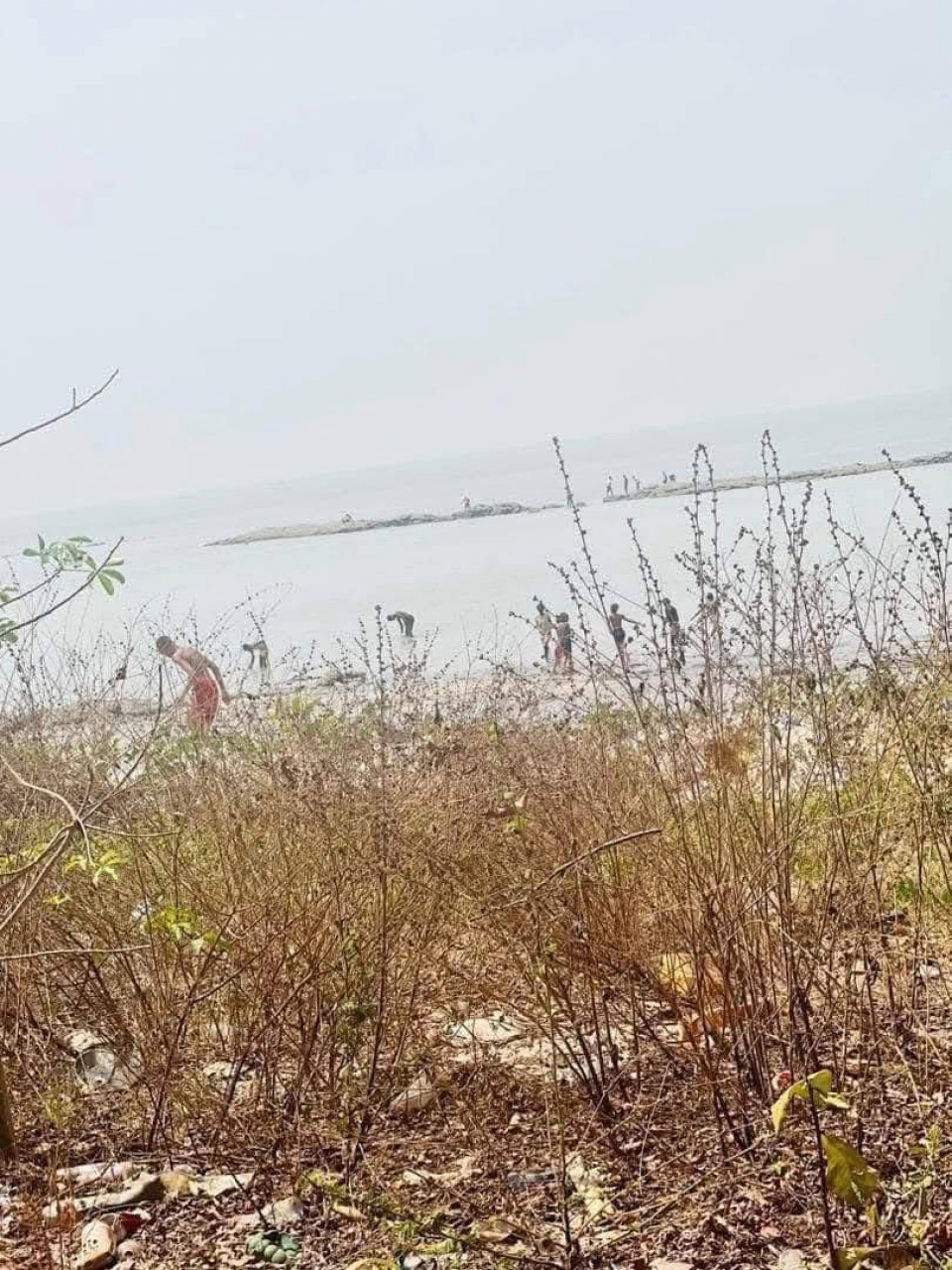 Parcelle à #vendre en bordure de mer A Ratoma, Terrains, Conakry