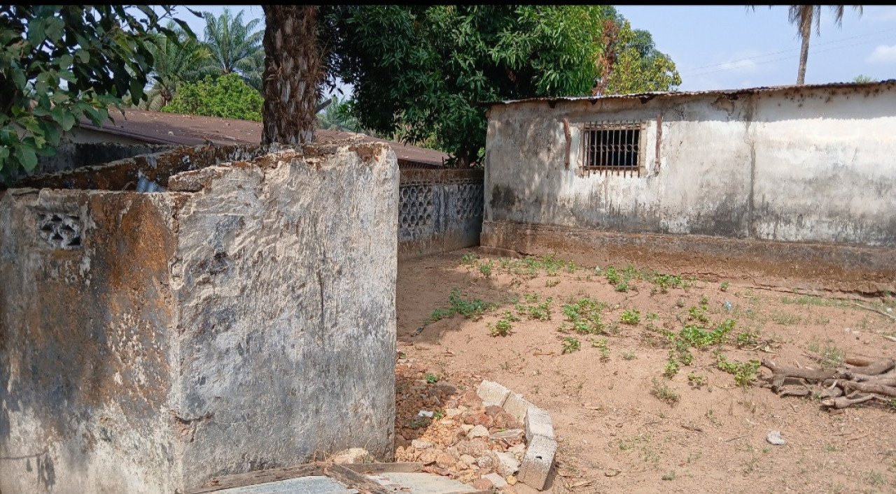 02 PARCELLE COLLÉ À COYAH CENTRE, Terrains, Conakry