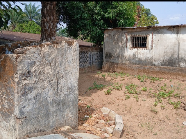 02 PARCELLE COLLÉ À COYAH CENTRE, Terrains, Conakry