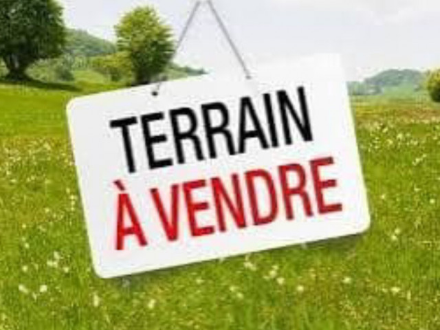 Coyah_Maferinyah_Forecariah, Terrains, Conakry